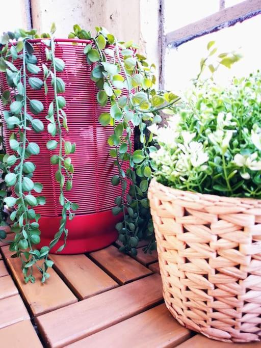 Apartmán Deluxe MilanCozyFlat Exteriér fotografie